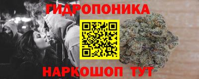 ГАЛЛЮЦИНОГЕННЫЕ ГРИБЫ Беслан