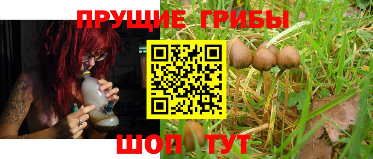 Галлюциногенные грибы Psilocybine cubensis  Вход с VPN  Ипатово 